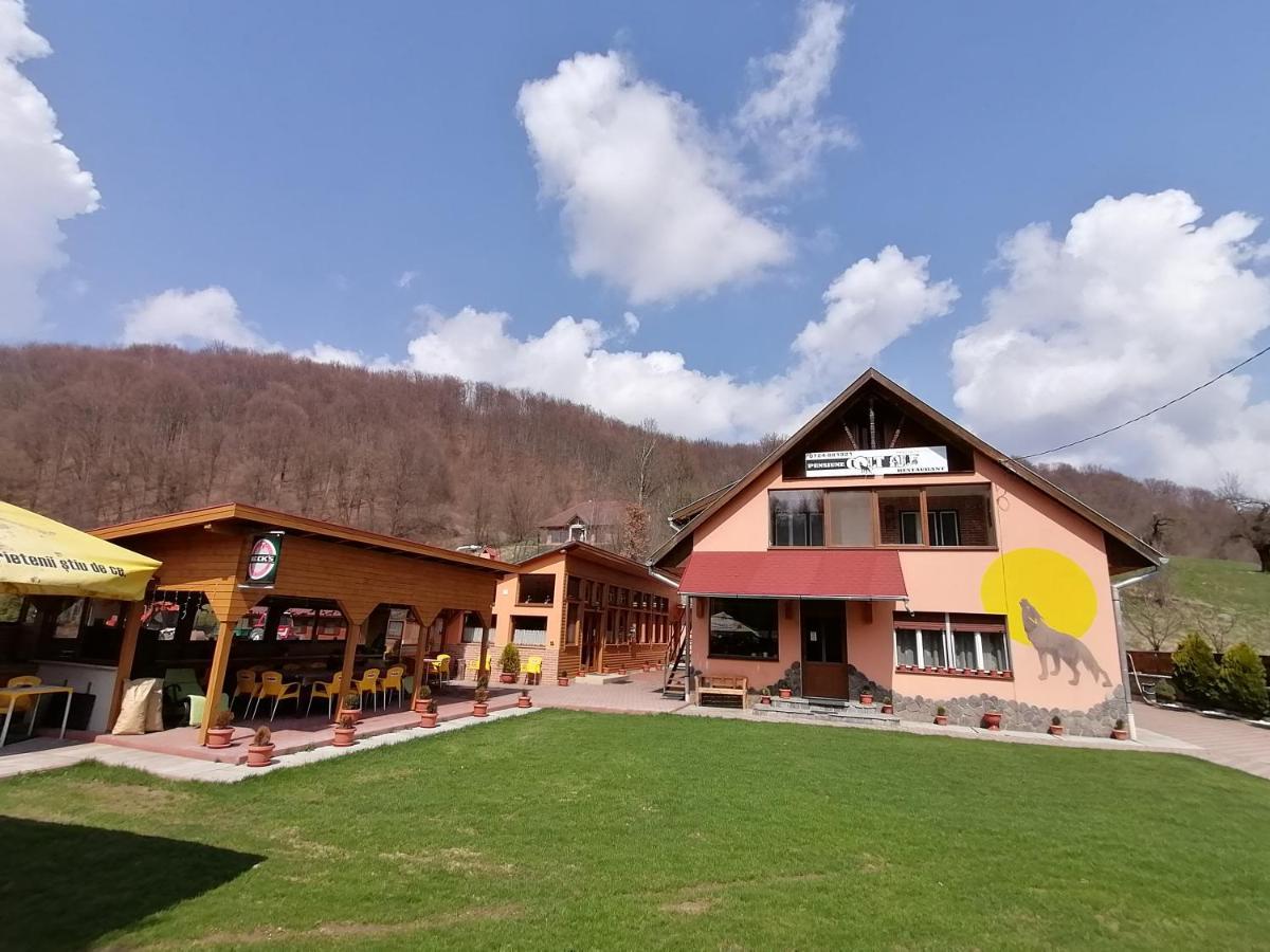 Pensiunea Colt Alb Baile Homorod Exterior photo