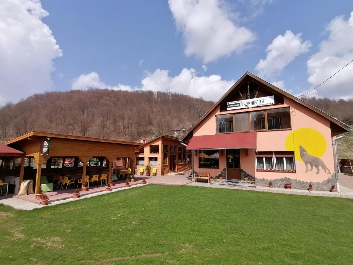 Pensiunea Colt Alb Baile Homorod Exterior photo